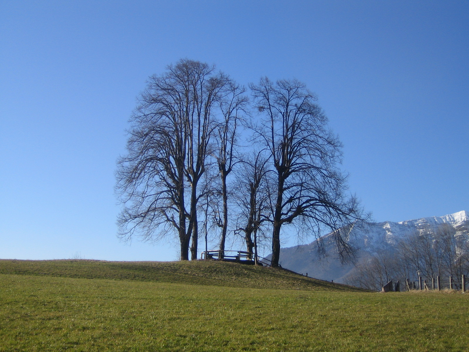 Sterz’s Evening Spot Viewpoint