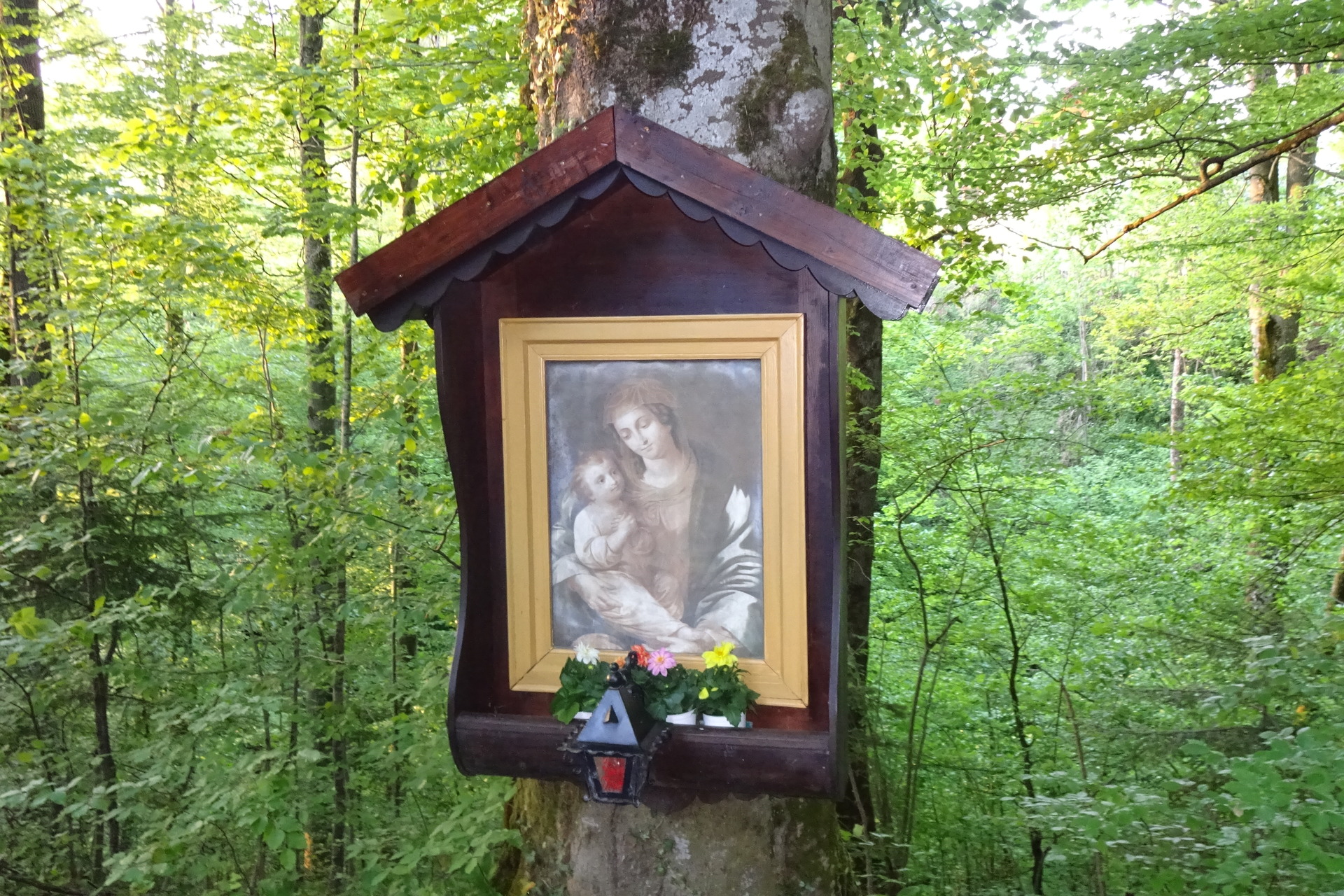 Tree shrine on Kroissengraben street