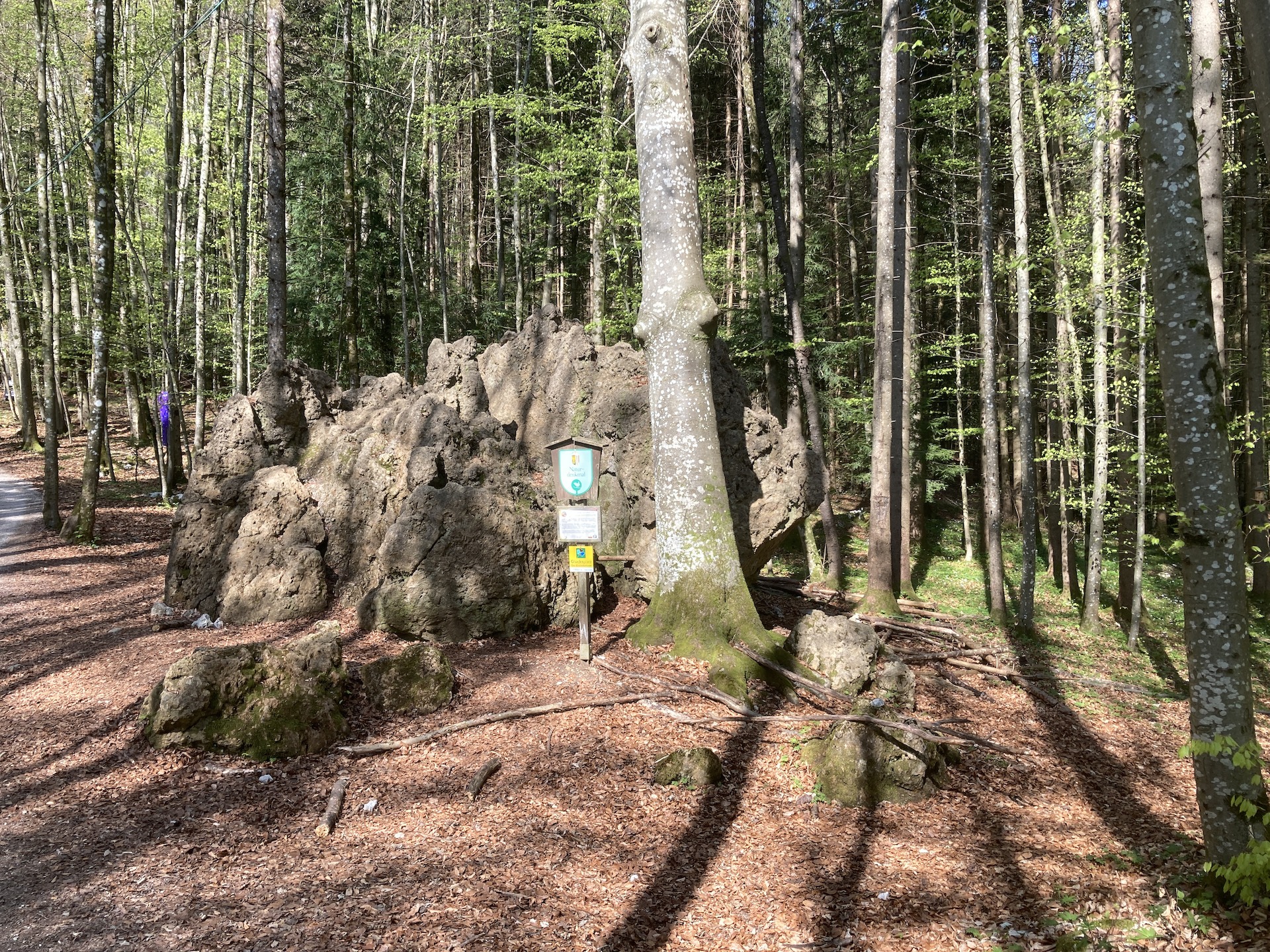 Eremite Stone at Siriuskogl Hill
