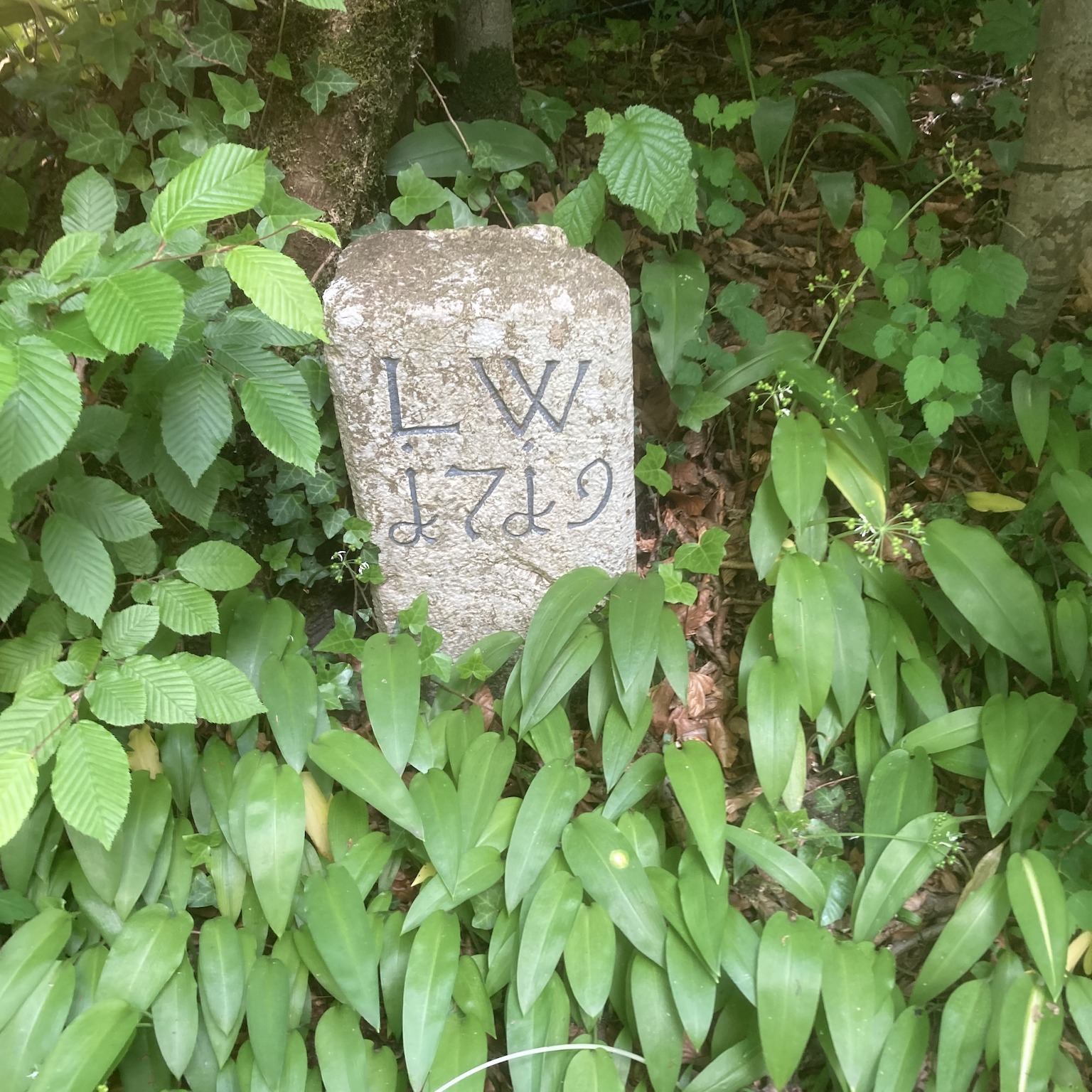 Jurisdiction Border Stone